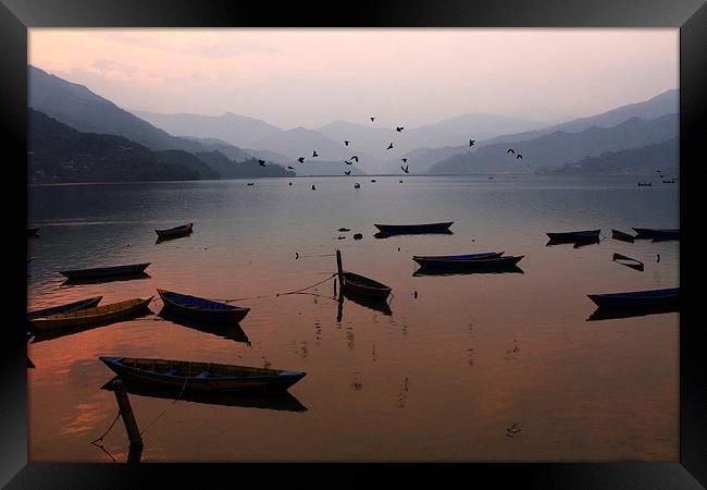 Fishing Boats - Phewa Lake - Nepal Framed Print by Aidan Moran