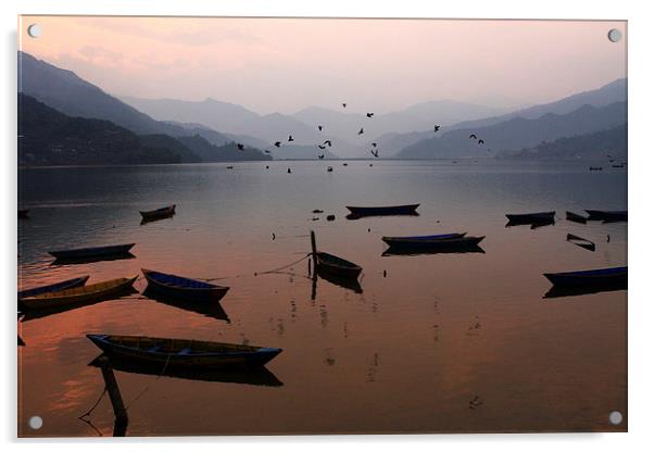 Fishing Boats - Phewa Lake - Nepal Acrylic by Aidan Moran