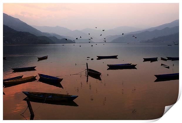 Fishing Boats - Phewa Lake - Nepal Print by Aidan Moran