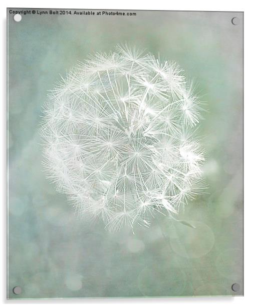 Seed Head Acrylic by Lynn Bolt