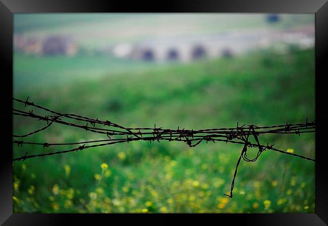 Barbed wire in the countryside Framed Print by Jose Manuel Espigares Garc
