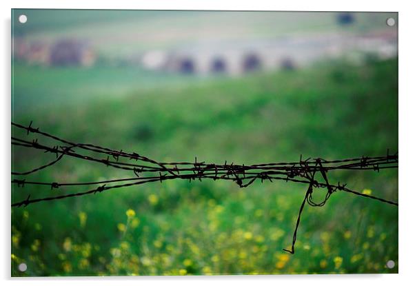 Barbed wire in the countryside Acrylic by Jose Manuel Espigares Garc