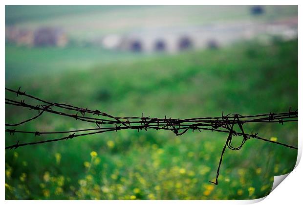 Barbed wire in the countryside Print by Jose Manuel Espigares Garc