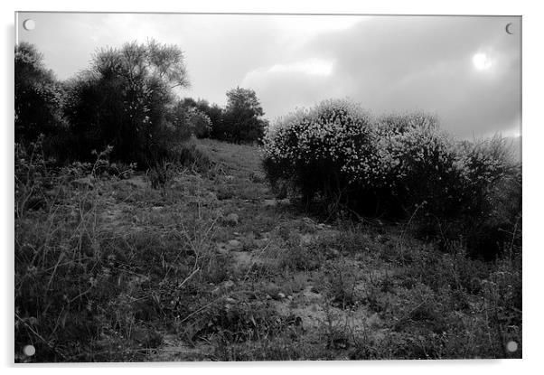 Landscpe near Carmona 4 Acrylic by Jose Manuel Espigares Garc