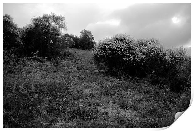 Landscpe near Carmona 4 Print by Jose Manuel Espigares Garc