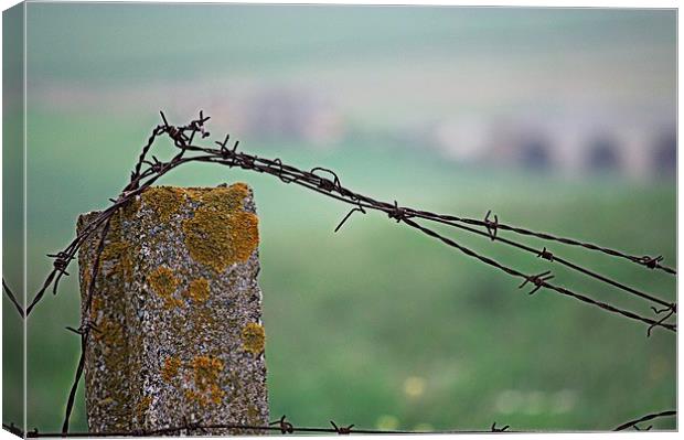 Barbed wire in the countryside 2 Canvas Print by Jose Manuel Espigares Garc