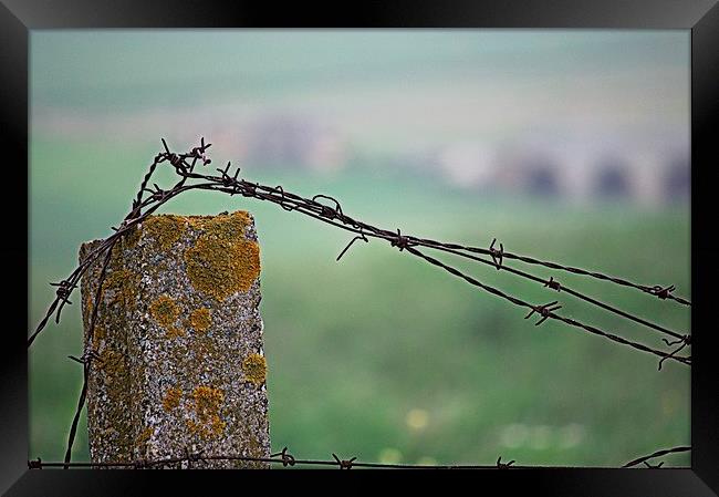Barbed wire in the countryside 2 Framed Print by Jose Manuel Espigares Garc