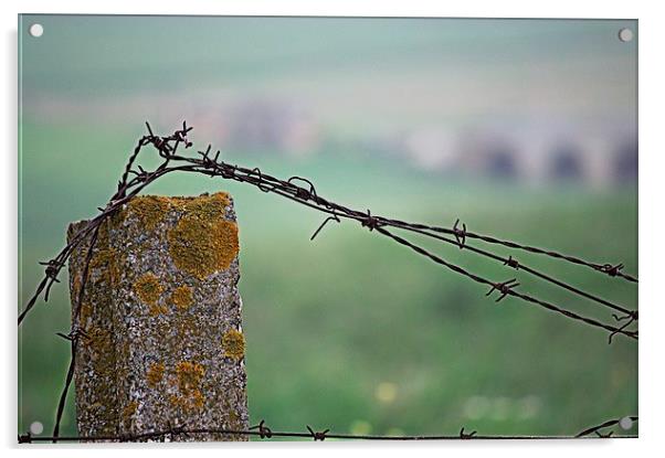 Barbed wire in the countryside 2 Acrylic by Jose Manuel Espigares Garc