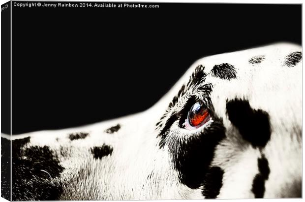 The Amber Eye. Kokkie. Dalmation Dog Canvas Print by Jenny Rainbow