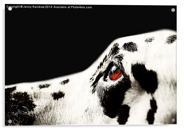 The Amber Eye. Kokkie. Dalmation Dog Acrylic by Jenny Rainbow