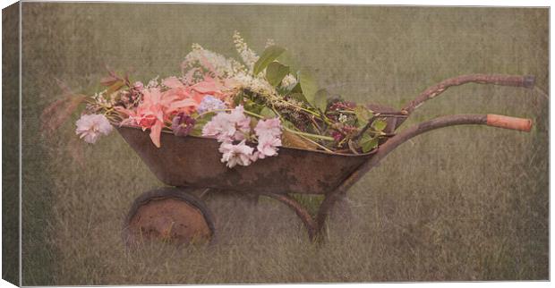 Floral Barrow Canvas Print by Gaynor Duthie