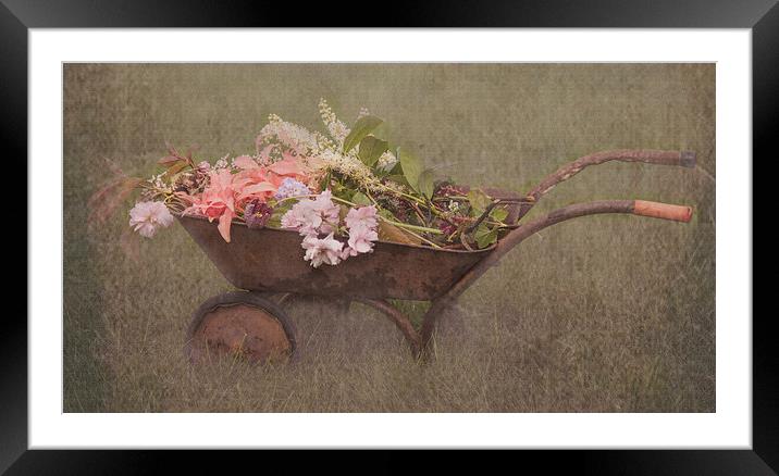 Floral Barrow Framed Mounted Print by Gaynor Duthie