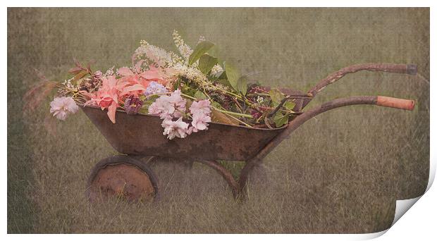 Floral Barrow Print by Gaynor Duthie