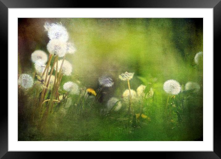 A Small World Framed Mounted Print by Dawn Cox