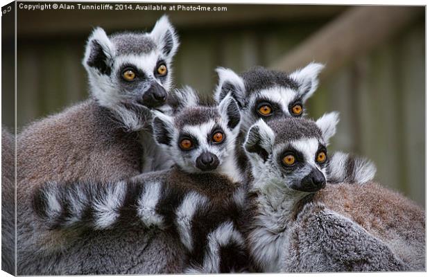 A Glimpse of Lemur Family Life Canvas Print by Alan Tunnicliffe