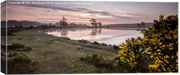 Whitten Pond Sunrise Canvas Print by Phil Wareham