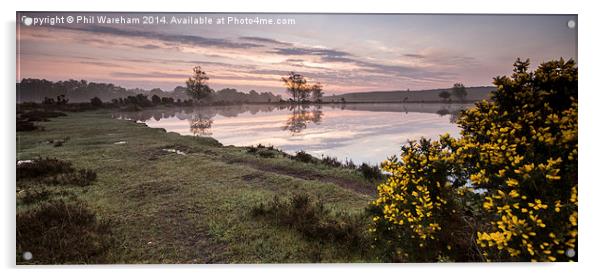 Whitten Pond Sunrise Acrylic by Phil Wareham