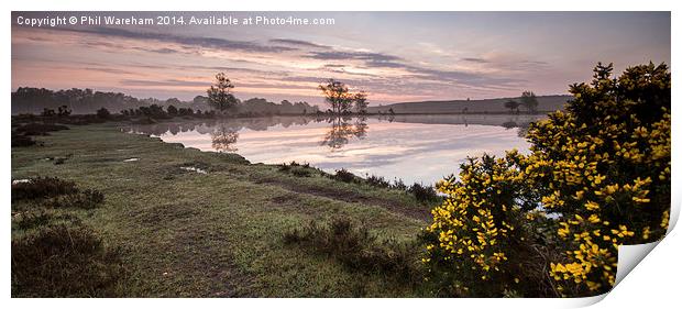 Whitten Pond Sunrise Print by Phil Wareham