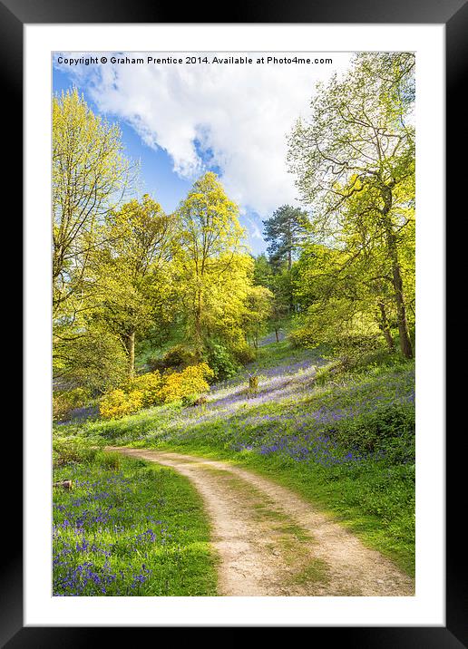 Track Through Bluebell Woods Framed Mounted Print by Graham Prentice