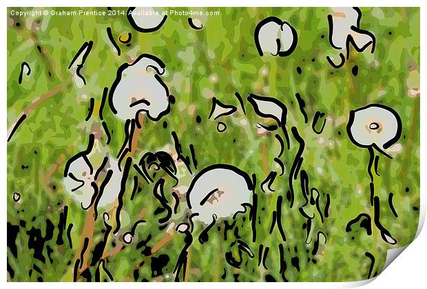 Abstract Dandelion Field Print by Graham Prentice