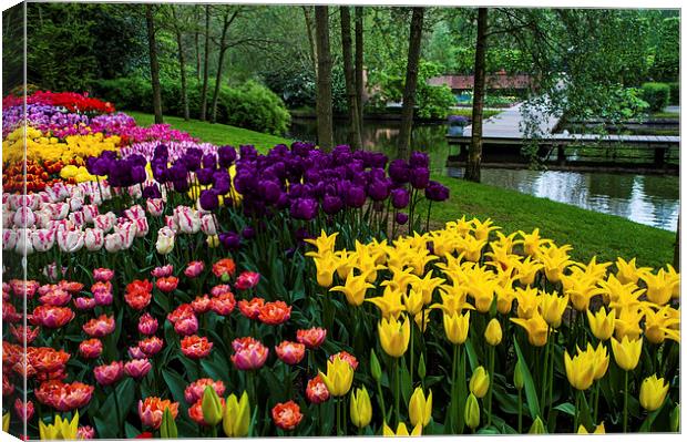 Colorful Corner of the Keukenhof Garden. Tulips Di Canvas Print by Jenny Rainbow