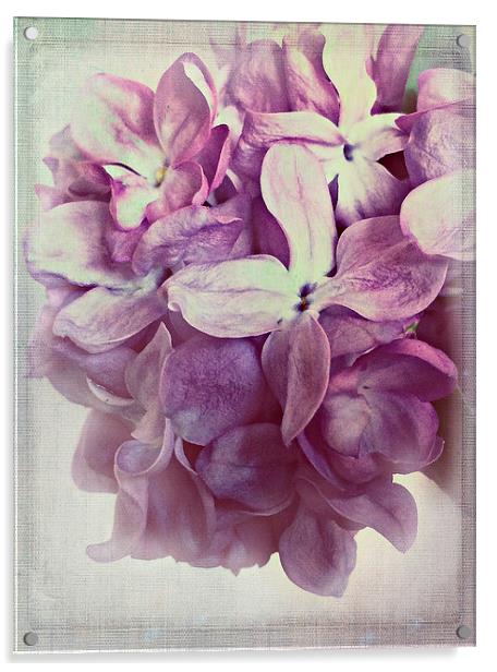 Lilac Dream Acrylic by Rosanna Zavanaiu