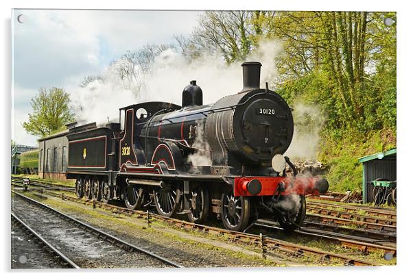 T9 30129 Steam Train Acrylic by Ashley Jackson