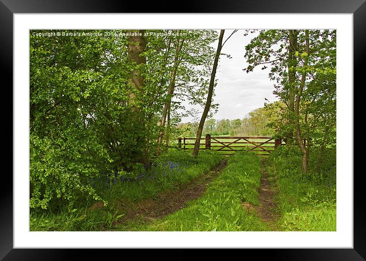 through the gate Framed Mounted Print by Barbara Ambrose