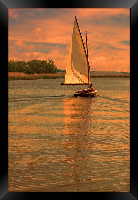 Last sail before bed Framed Print by Mark Bunning