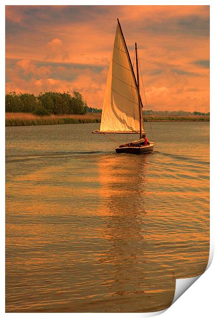 Last sail before bed Print by Mark Bunning