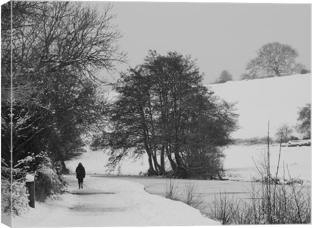 Solitary Winter Walk Canvas Print by Liz Watson