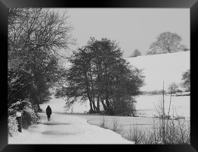 Solitary Winter Walk Framed Print by Liz Watson