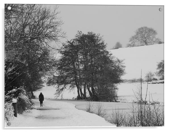 Solitary Winter Walk Acrylic by Liz Watson