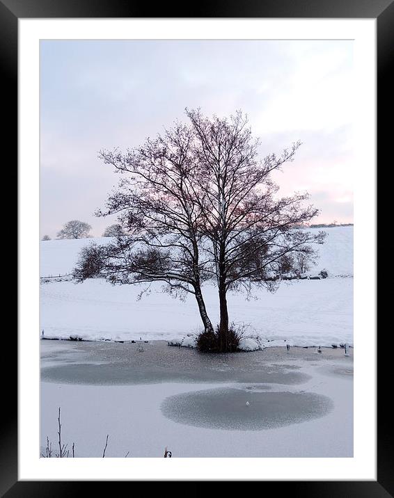 Snowy Canalside Landscape Framed Mounted Print by Liz Watson