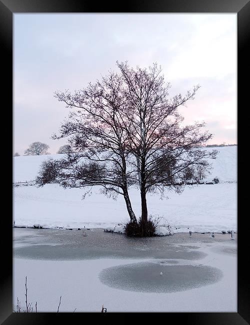 Snowy Canalside Landscape Framed Print by Liz Watson