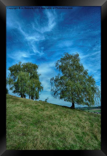 hillside birch trees Framed Print by Jo Beerens