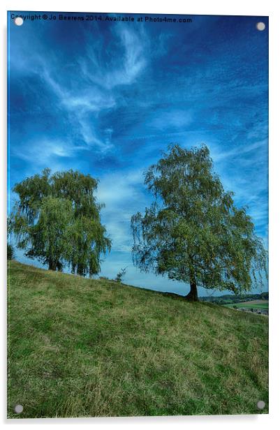 hillside birch trees Acrylic by Jo Beerens