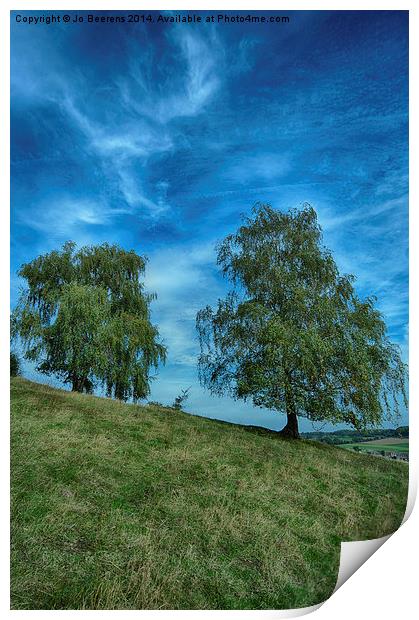 hillside birch trees Print by Jo Beerens