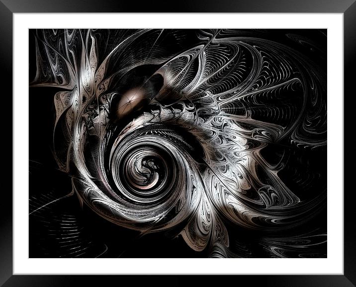 Silver Spiral Framed Mounted Print by Amanda Moore