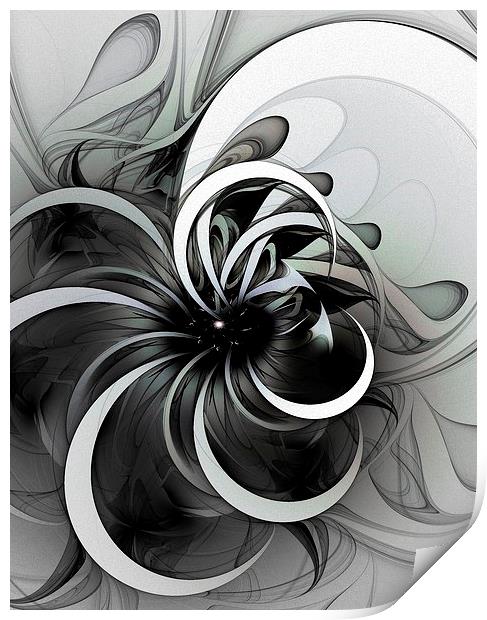 Swirl Print by Amanda Moore