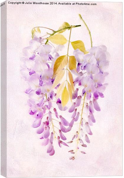 Wisteria Canvas Print by Julie Woodhouse