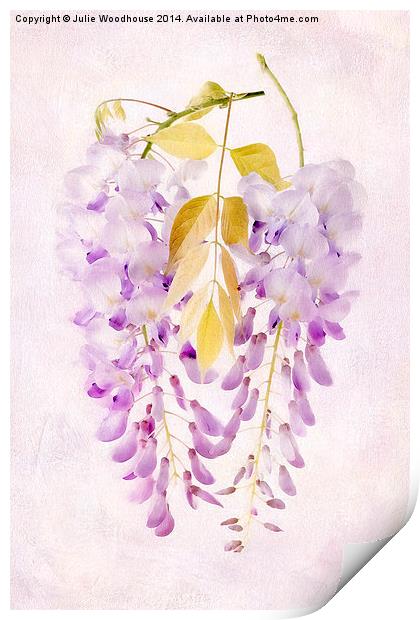 Wisteria Print by Julie Woodhouse