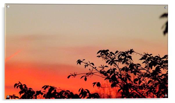 Sunrise in Tennessee Acrylic by Martha Crum