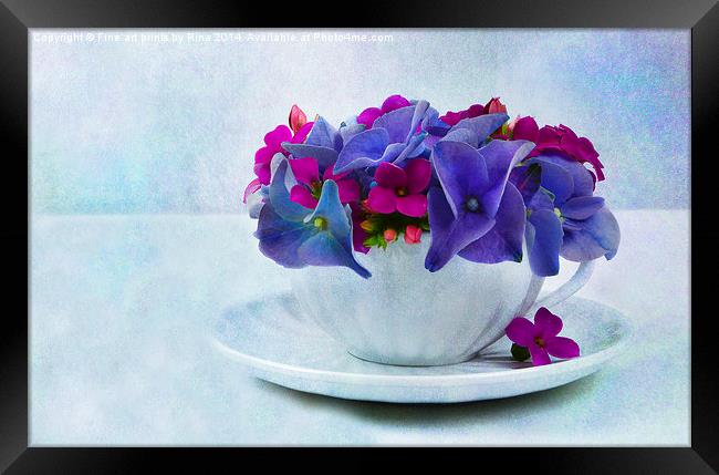 Pretty as a picture (5) Framed Print by Fine art by Rina