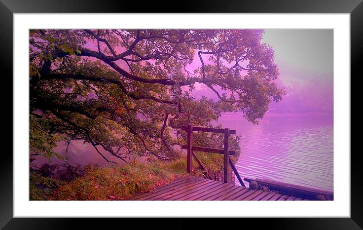 Incoming Cloud at Rock Cottage Framed Mounted Print by Lisa PB