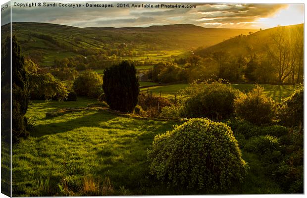 Dalescapes: A Slice Of Heaven In Swaledale Canvas Print by Sandi-Cockayne ADPS