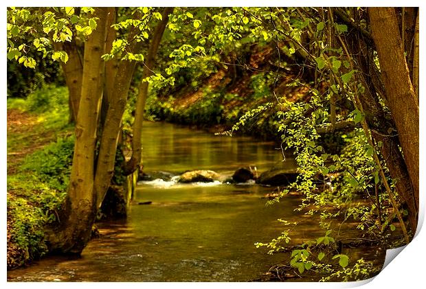 Hubbards Hills Louth Print by paul jenkinson