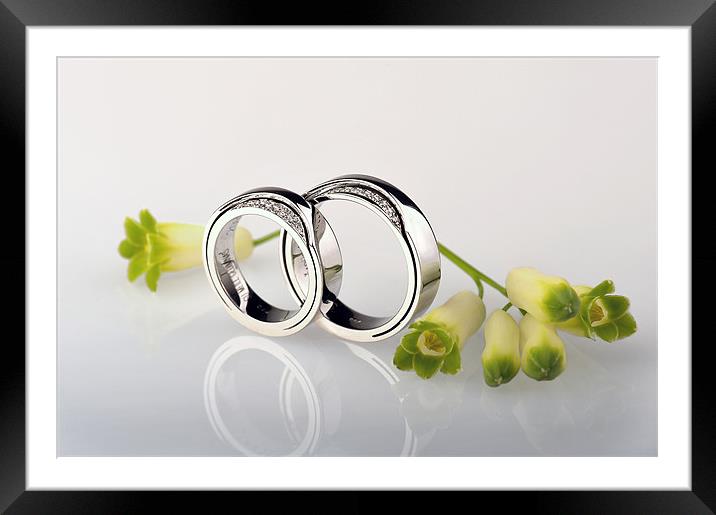 Wedding rings Framed Mounted Print by Augis Skackauskas