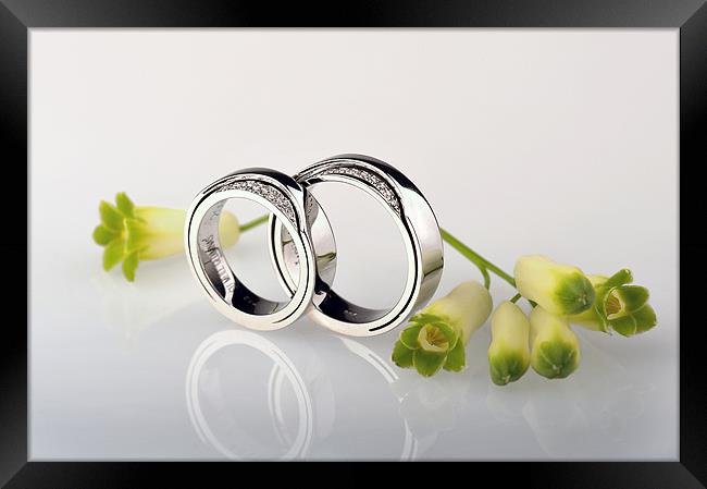 Wedding rings Framed Print by Augis Skackauskas