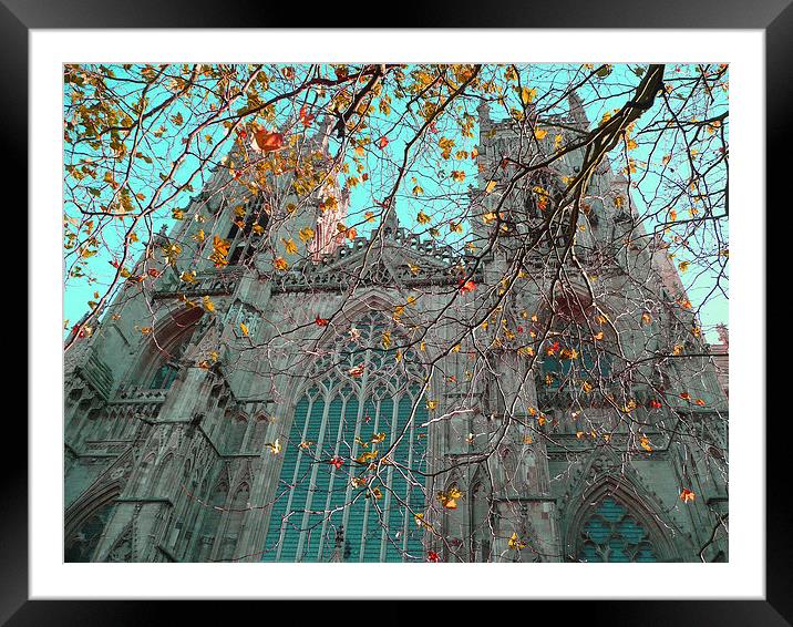 York MInster in the fall Framed Mounted Print by Robert Gipson